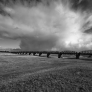 Landschaftsfoto an der Elbe